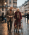 Trustcare Let's Fly Rollator Utomhus /