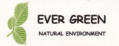ever green skor sandaler