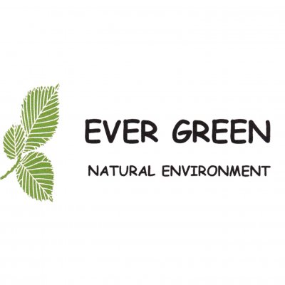 ever green skor sandaler