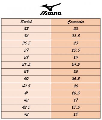 Mizuno Revolt 4 Unisex / White Silver
