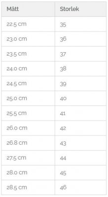 Scholl Rio WG AD / Bordeaux